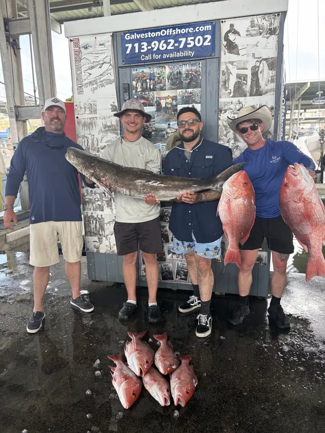 Four anglers at the Galveston Offshore dock with a trophy cobia and red snapper from a federal offshore trip