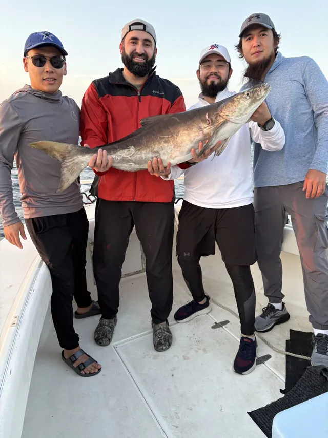 Four anglers aboard Half Time at sea holding a trophy cobia caught on a federal offshore trip