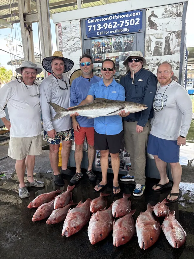 Kingfish and a limit of red snapper laid out on the dock at Galveston Yacht Basin