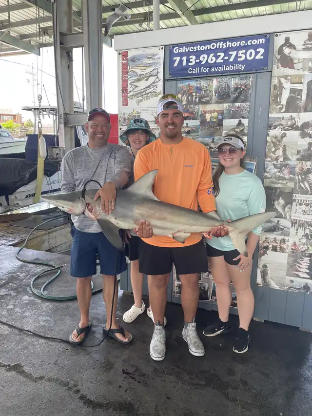 Four anglers holding a large shark at the Galveston dock in front of the Galveston Offshore banner
