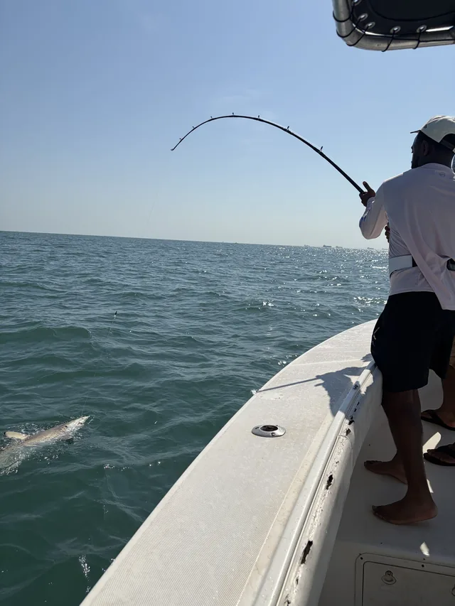 An angler fighting a shark on heavy tackle alongside the Half Time, the fish visible at the surface