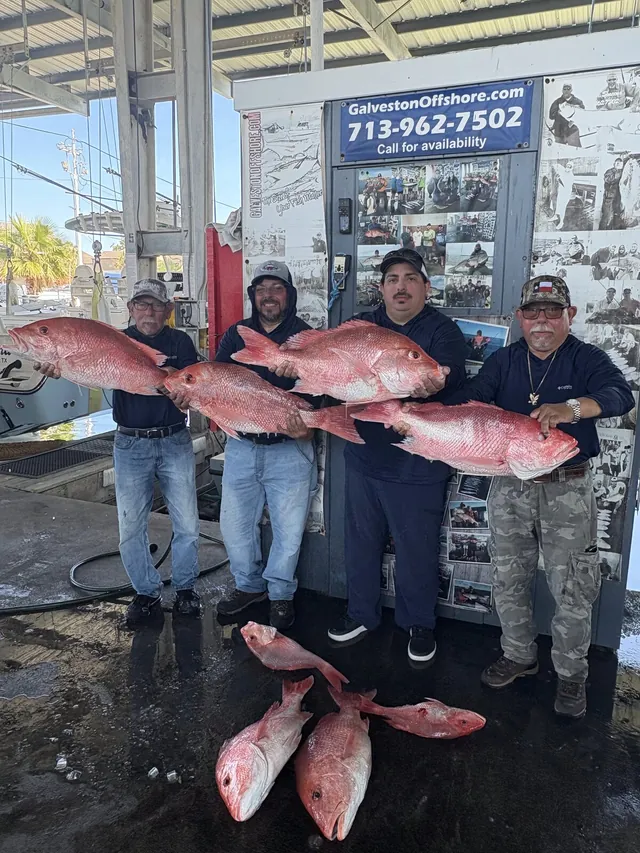 Four anglers at the Galveston Offshore dock holding large red snapper from a federal offshore trip