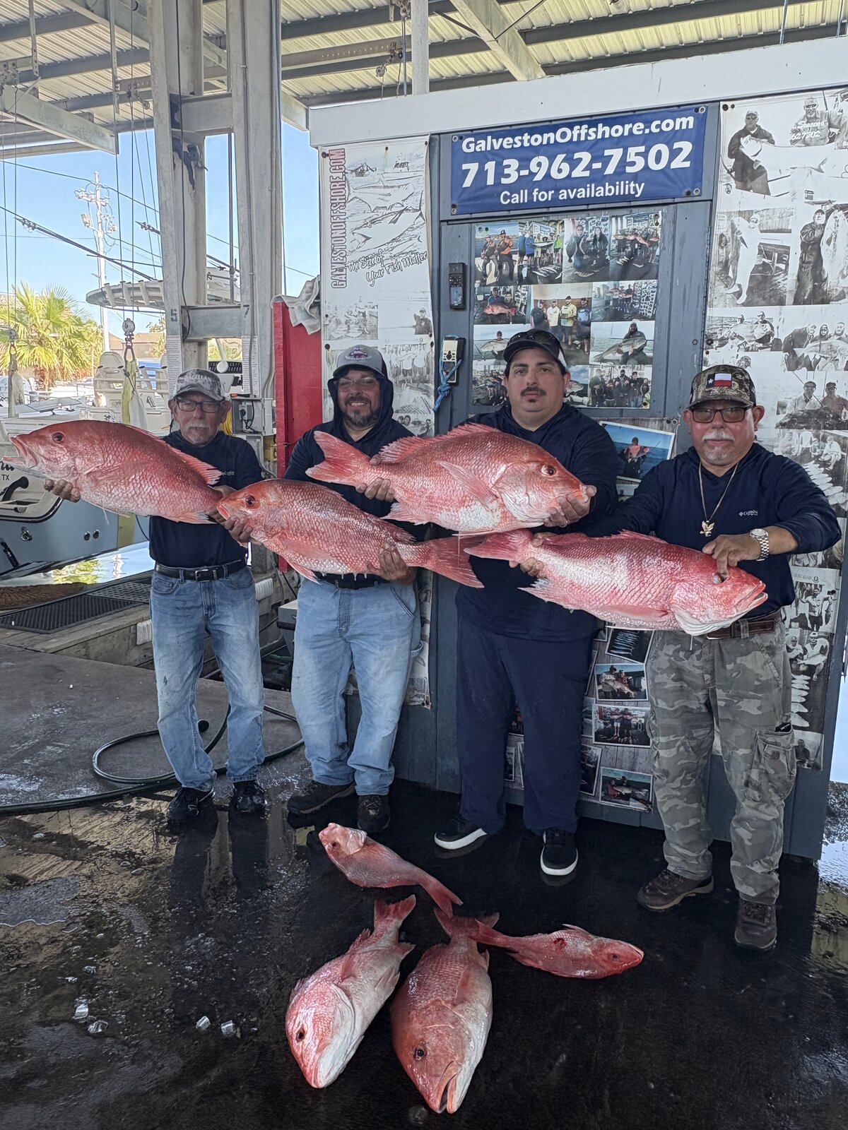 Four anglers at the Galveston Offshore dock holding large red snapper from a federal offshore trip