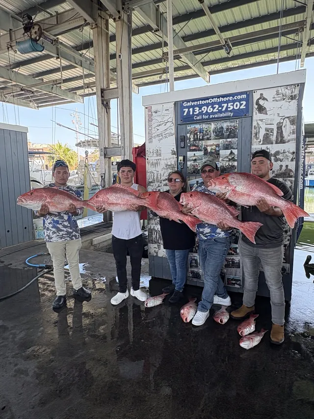 Five anglers at the Galveston Offshore dock holding five large red snapper after a federal offshore trip