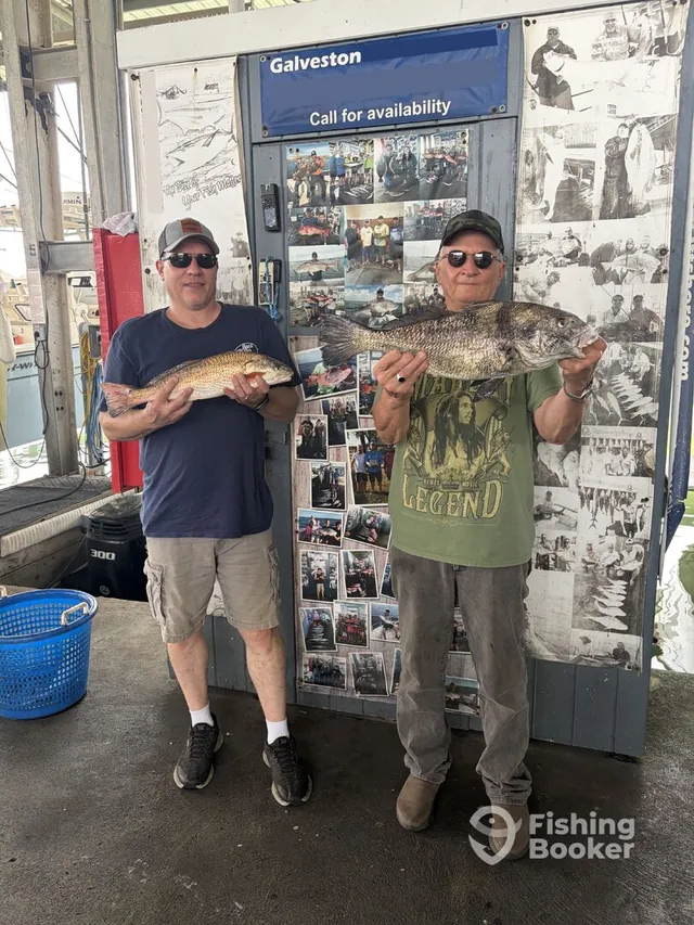 Two anglers in front of the Galveston Offshore charter wall with redfish and black drum